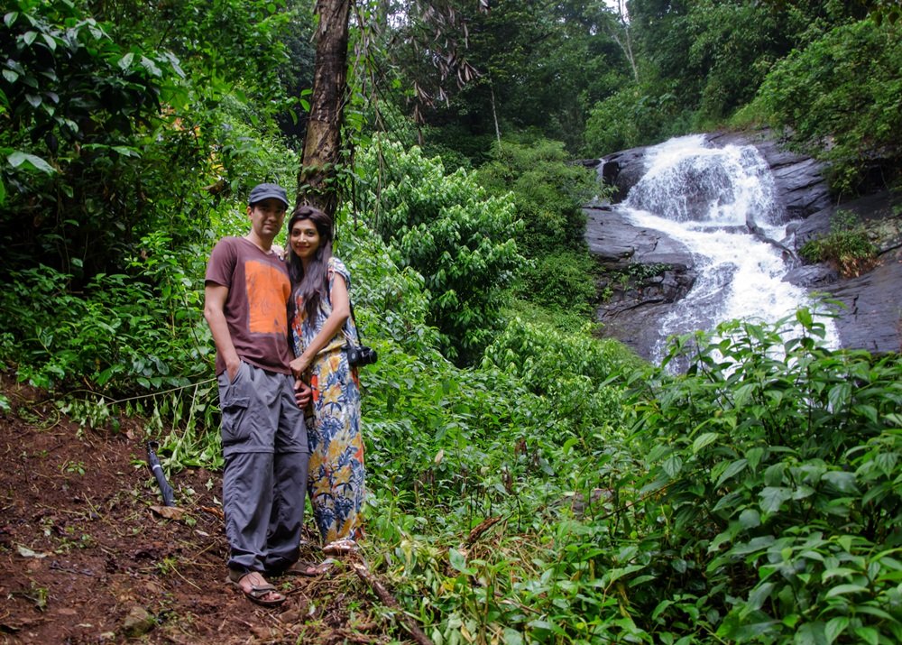 Lush green coffee plantations and misty hills of Coorg, Karnataka