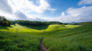 Ranikhet vs Nainital Which is Better for Stay Your Ultimate Hill Station Guide